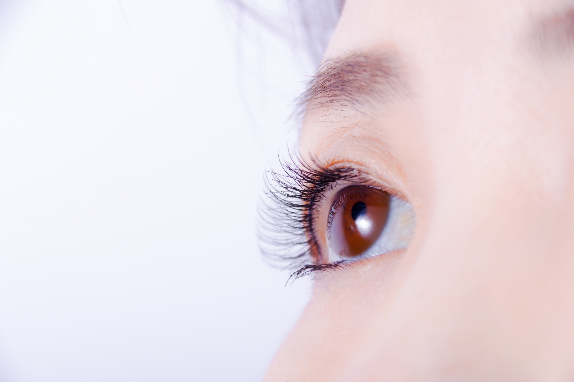 根元から自然に上向く、まつ毛パーマのイメージ